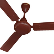 Standard Sailor 48" Pearl Brown Ceiling Fans