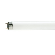 Philips 18W 2ft Hi-Lumen Trulite (25 pcs)