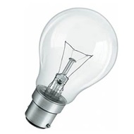 Wipro 100W GLS Incandescent Bulb