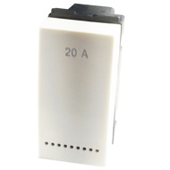 GM AA1011 20A Two Way White Switch
